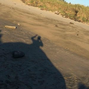 Meet your Posher, Wayne